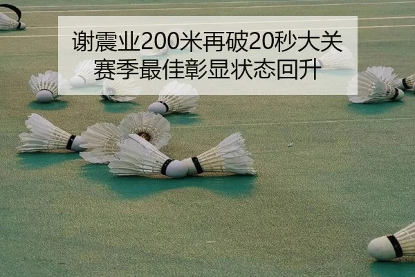 xie-zhen-ye-mi-zai-po-miao-da-guan-sai-ji-zui-jia-zhang-xian-zhuang-tai-hui-sheng-2-776.jpg