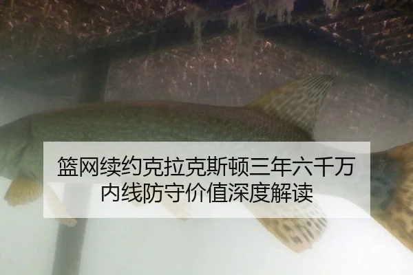 lan-wang-xu-yue-ke-la-ke-si-dun-san-nian-liu-qian-wan-nei-xian-fang-shou-jia-zhi-shen-du-jie-du-3-803.jpg